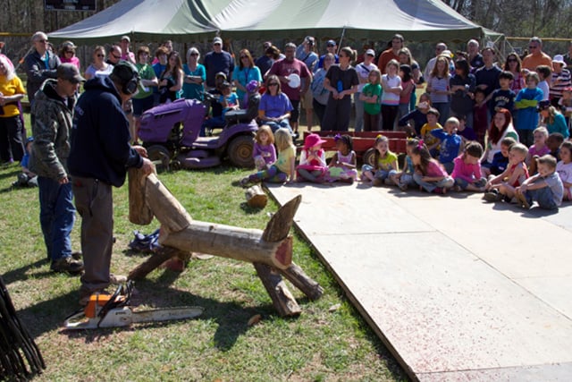 a person doing a wheelie on a log in front of a crowd